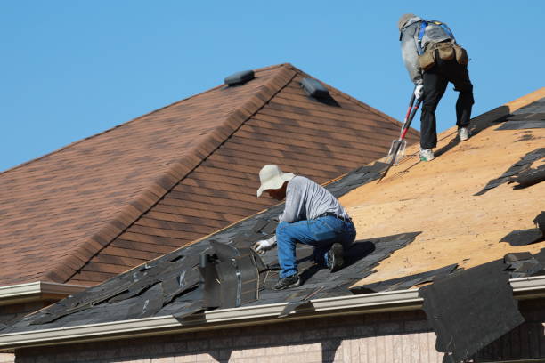 Reliable Colwyn, PA Roofing services Solutions