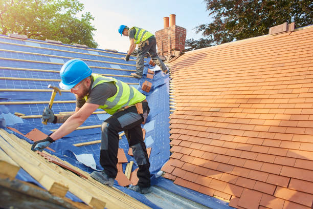 Best Storm Damage Roof Repair  in Colwyn, PA